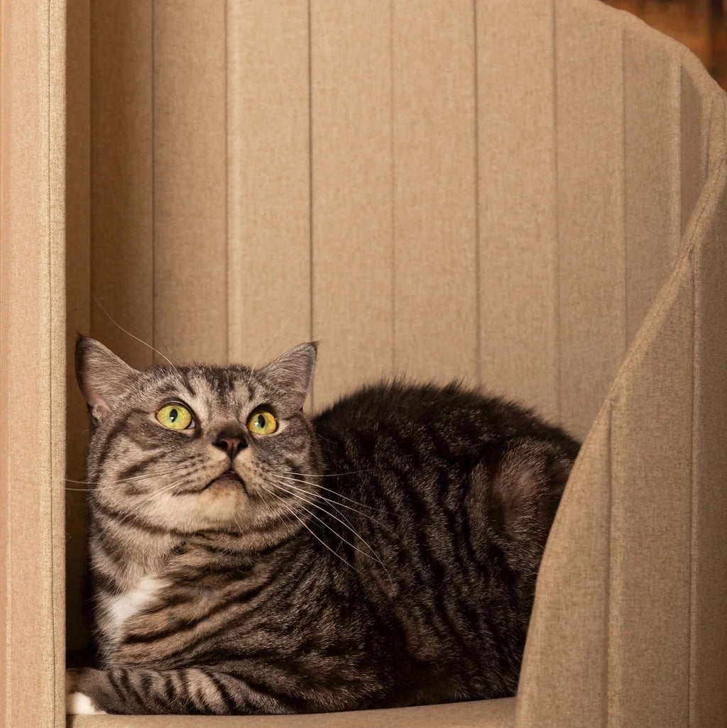 Aesthetic Cat Tree