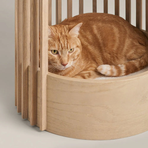 Little Lounge Cat Tree