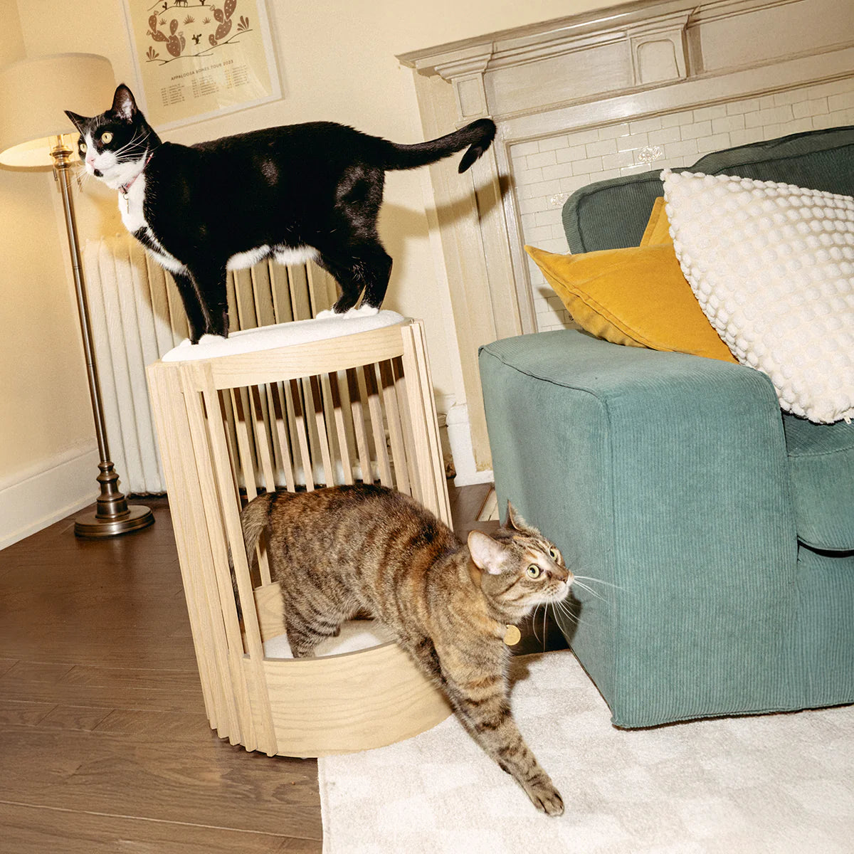 Little Lounge Cat Tree